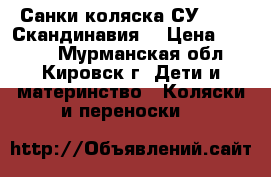 Санки-коляска СУ-14.1 «Скандинавия» › Цена ­ 4 000 - Мурманская обл., Кировск г. Дети и материнство » Коляски и переноски   